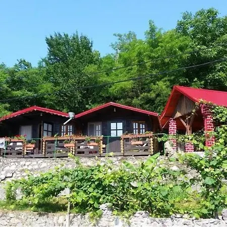 Gratca 164 Holiday home Orsova