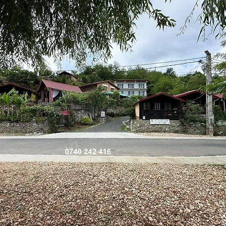 Gratca 164 Holiday home Orsova